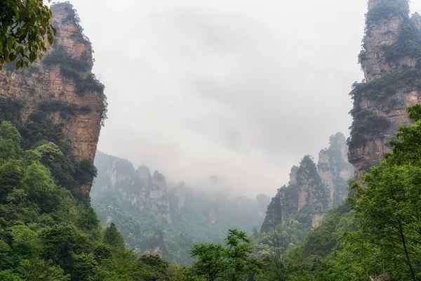 Vysoké horské štíty yangjiajie — Stock fotografie