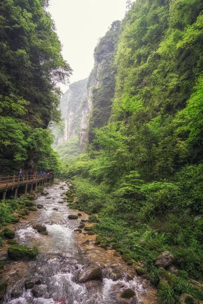 Zhangjiajie gran cañón arroyo vista — Foto de Stock