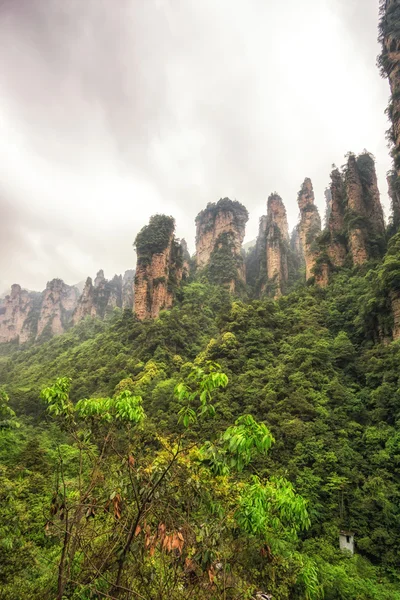 Tall mountain peaks of yuanjiajie — Stock Photo, Image
