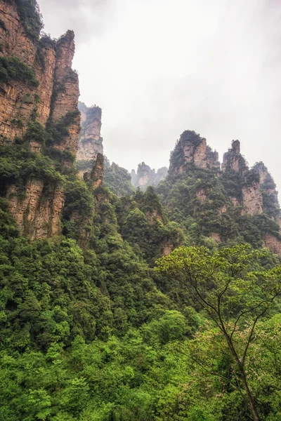 Vysoké horské štíty yuanjiajie — Stock fotografie