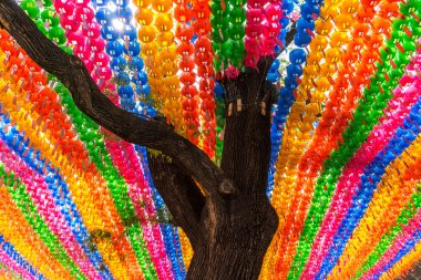 jogyesa tapınağında fener satırları