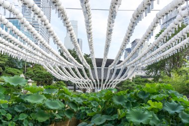 Lotus çiçekleri beyaz fener altında