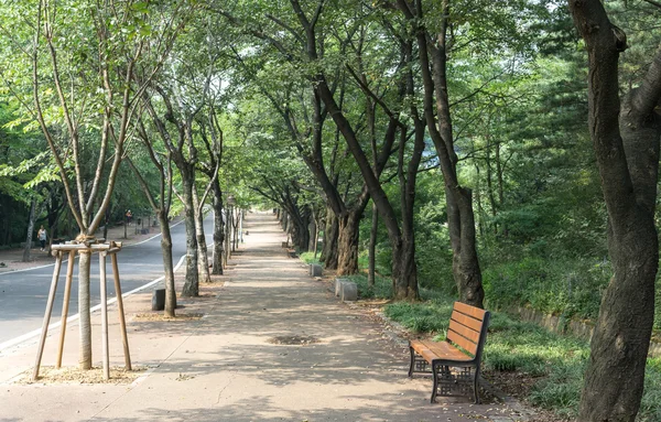 Incheon grand park — Stock Photo, Image