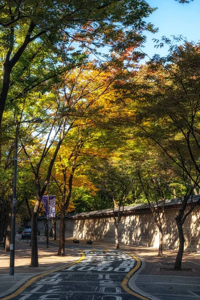 秋の葉に囲まれた徳州宮金道 韓国ソウルで撮影 — ストック写真