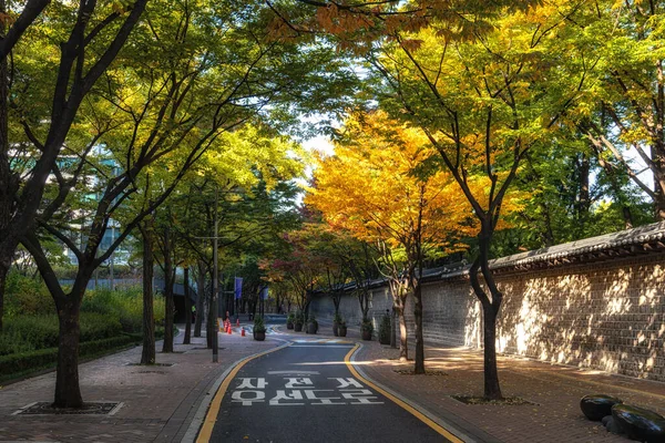 德康宫道环绕着秋天的落叶 在韩国首尔拍的 — 图库照片