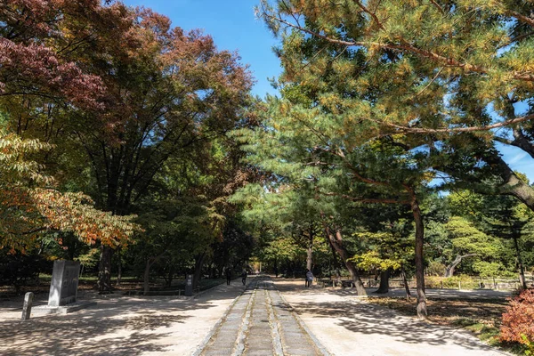 Une Petite Route Dans Sanctuaire Jongmyo Entouré Pins Prise Séoul — Photo