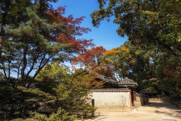 秋の紅葉は ソウルの城陽神社の上に休んでいます — ストック写真