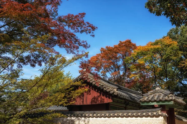 Herfst Herfst Gebladerte Bladeren Rusten Top Van Jongmyo Heiligdom Seoul — Stockfoto