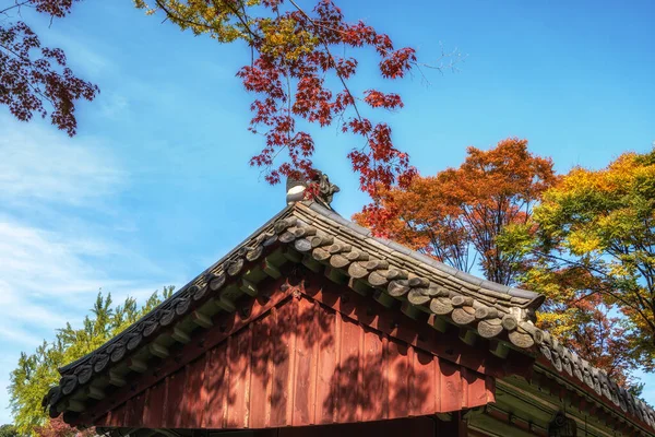 Autumn Fall Foliage Leaves Resting Top Jongmyo Shrine Seoul South — Stock Photo, Image