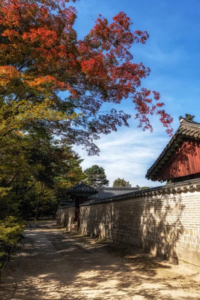 Осенние Листья Осенней Листвы Покоятся Вершине Храма Чонмё Сеуле Южная — стоковое фото