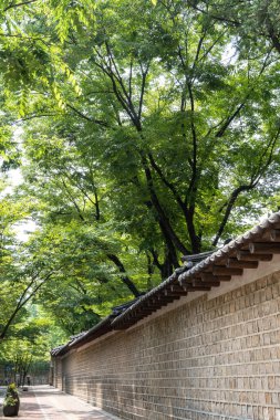 Deoksugung Doldam Gil Deoksu Sarayı 'nın taş duvarlarıyla kaplı ünlü bir yoldur. Yazın Güney Kore, Seul 'de çekilmiş.