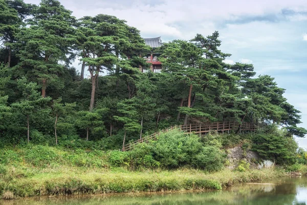 Павильон Чхонганчжон Окружен Соснами Знаменитая Достопримечательность Госон Южная Корея — стоковое фото