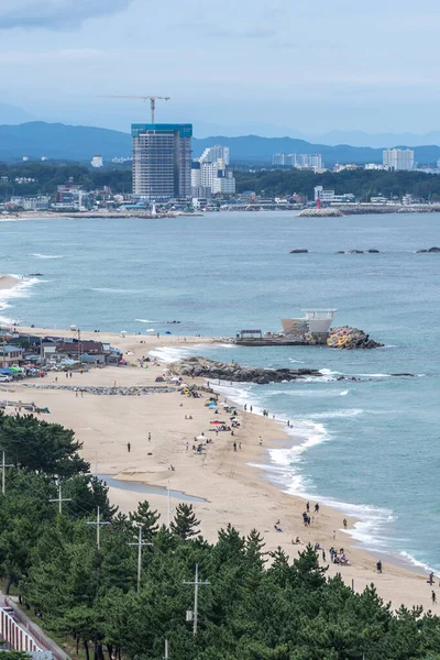 Utsikten Över Gyeongpo Stranden Trångt Med Besökare Tagna Från Toppen — Stockfoto