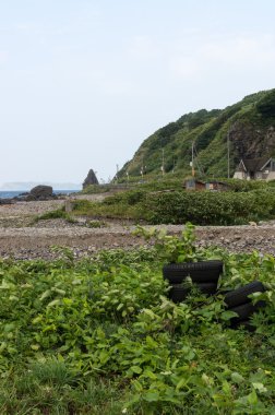 Shakotan cape Beach'de