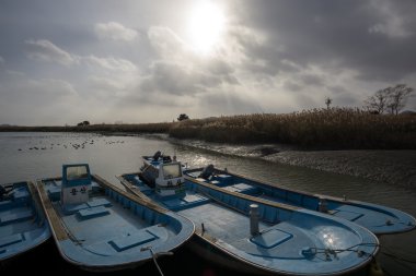 Tekne Suncheon Bay