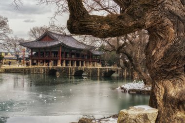 Kore Gwanghalluwon Pavyonu