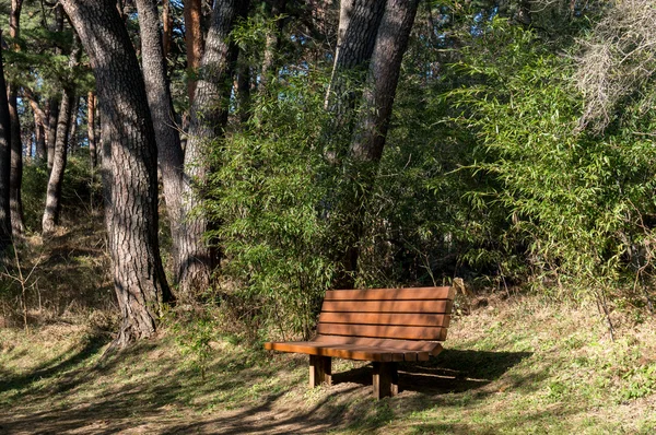 韩国公园的长椅上 — 图库照片