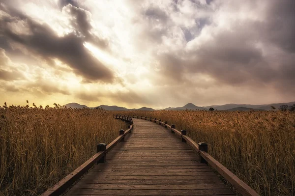 Suncheon bay Walkway — Stock Photo, Image