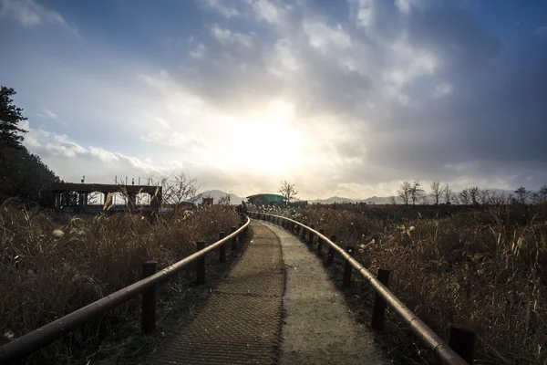 Suncheon Zatoka chodnik — Zdjęcie stockowe