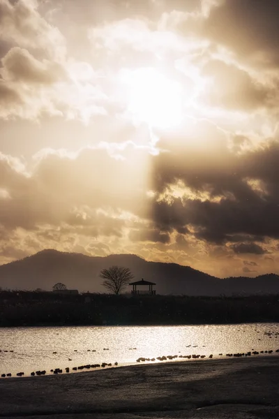 Solnedgång över Suncheon bay Park — Stockfoto