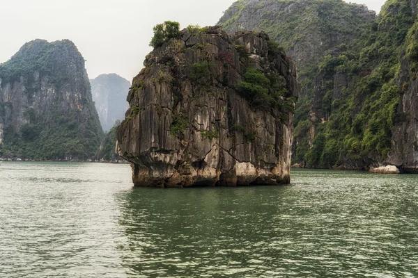 Halong bay — Stock Photo, Image