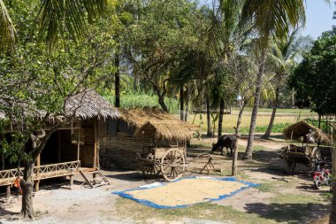 Kamboçyalı çiftlik