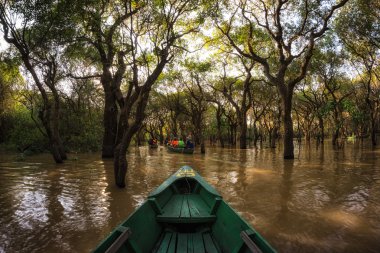 Tonle Sap Mangrov Ormanı