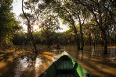 Tonle Sap Mangrov Ormanı
