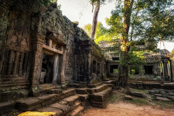 Ta Prohm — Stock Photo, Image