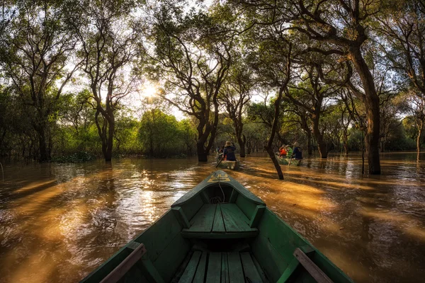 Tonle Sap namorzynowych lasów — Zdjęcie stockowe