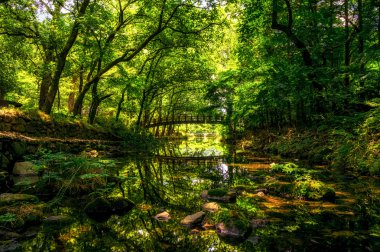 Yaz creek yansımalar