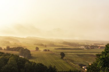 Üst görünümden çiftlik