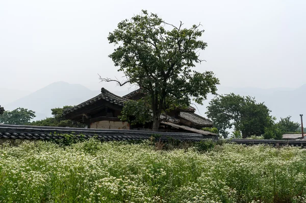 Traditional Korean architecture — Stock Photo, Image