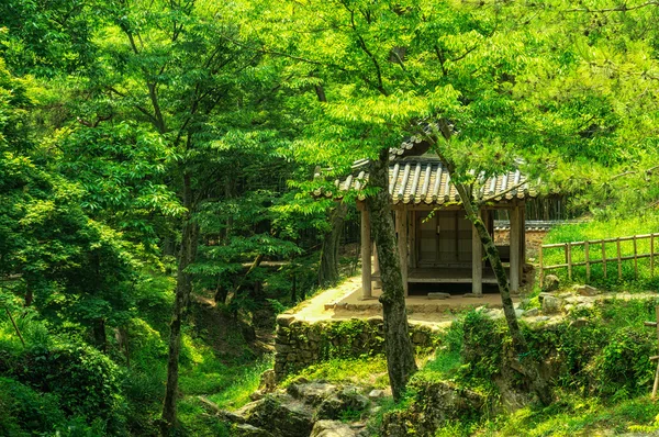 韓国寺院の伝統家屋と塔 — ストック写真