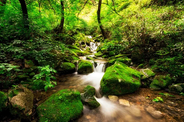 yosunlu creek