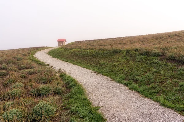 Pole levandule — Stock fotografie