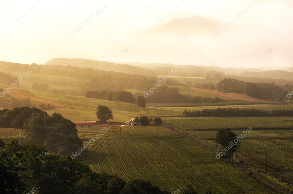 Farm view from top