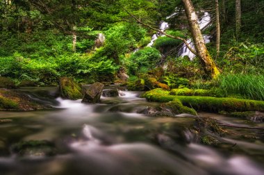 Dağ dere ve şelale