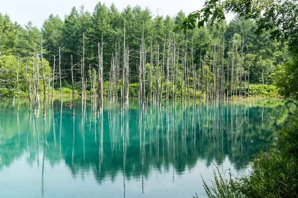 Blå damm — Stockfoto