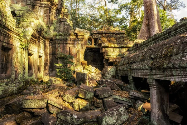 Ta Prohm — Fotografia de Stock