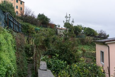 Riomaggiore bahçesi 