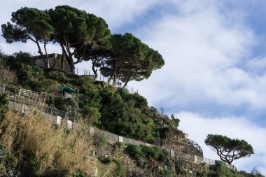 Riomaggiore yürüyüş parkuru