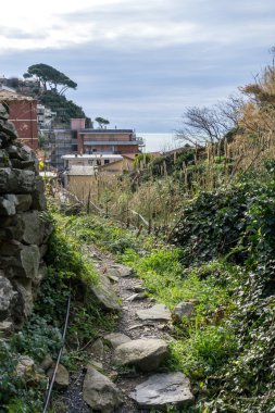 Cinque Terre Hiking trail