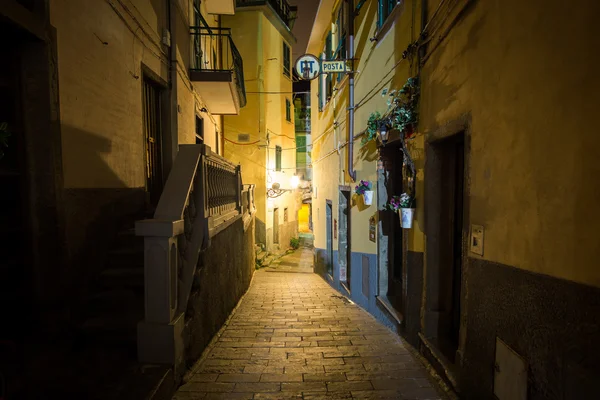 Riomaggiore alleyway geceleri — Stok fotoğraf