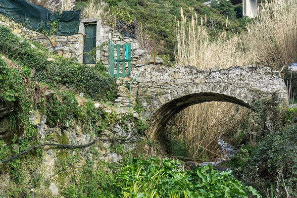 Stone bridge in the trail — Stock Photo, Image