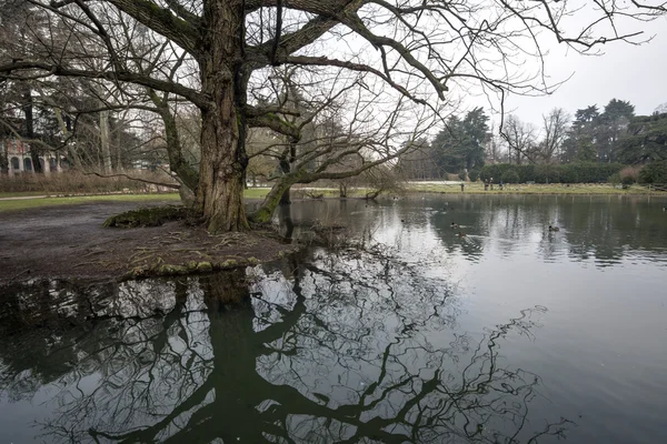 Park sempione lake — Stock Photo, Image