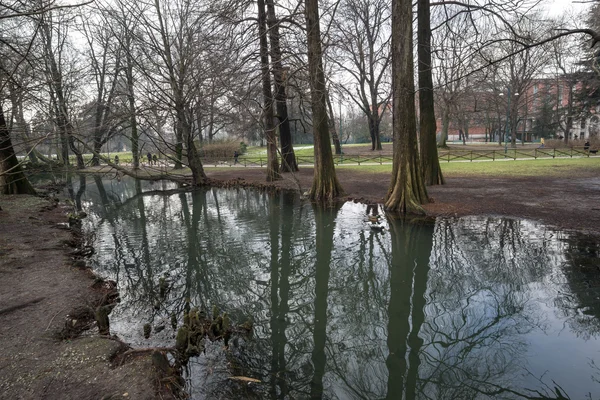 Park sempione lake — Stock Photo, Image