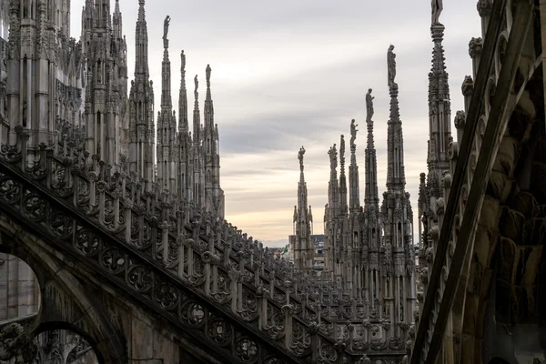 Milan duomo telhado — Fotografia de Stock