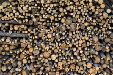 yığılmış çeşidinde