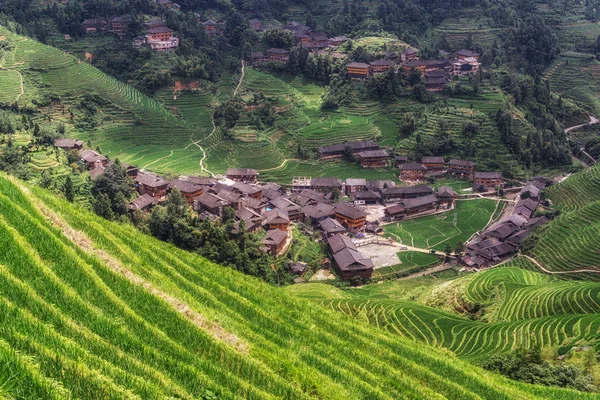 Longi Райс тераси — стокове фото